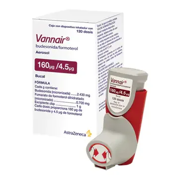 Vannair 160/4.5 Aerosol C/1 — Budesonida/Formoterol