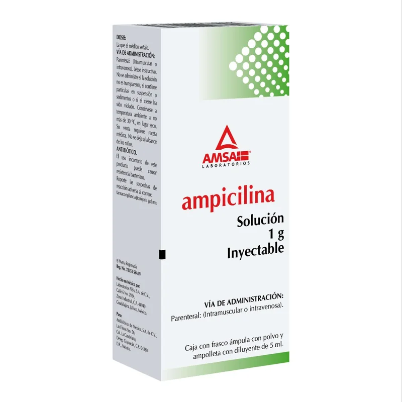 AMPICILINA 1 G SOL INY FA LGEN