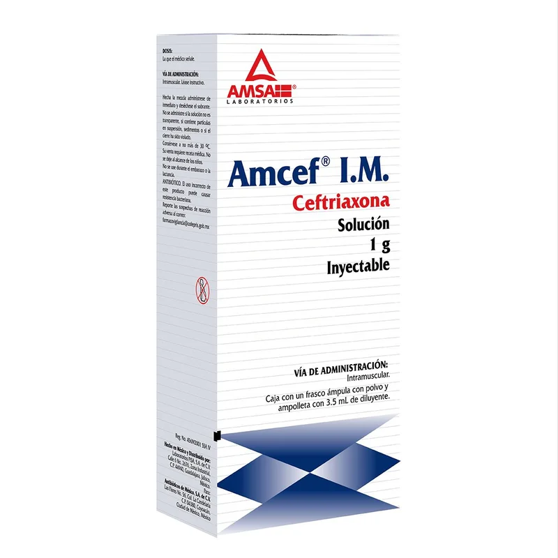 CEFTRIAXONA IM1G SI AMCEF LGEN